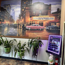 Viewmont Diner